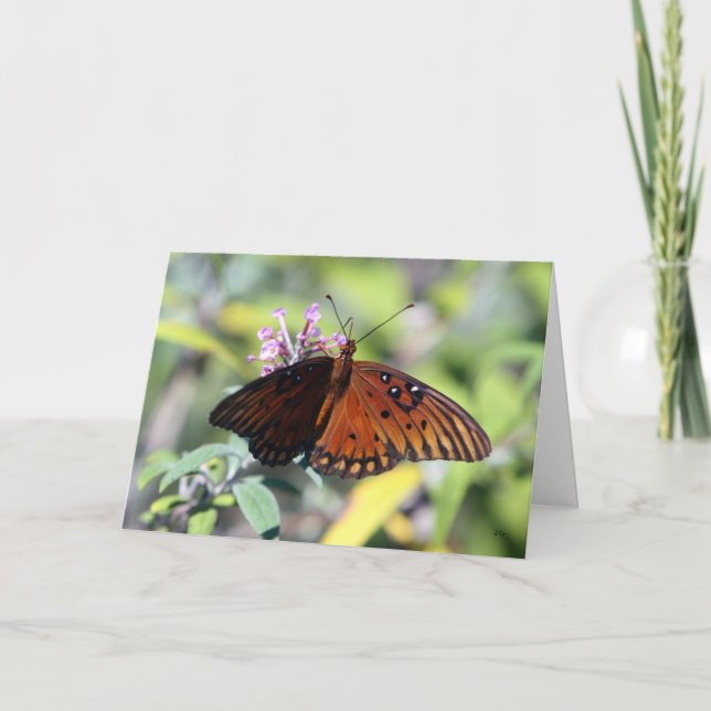 Moms Choice, Hello Card (Front)