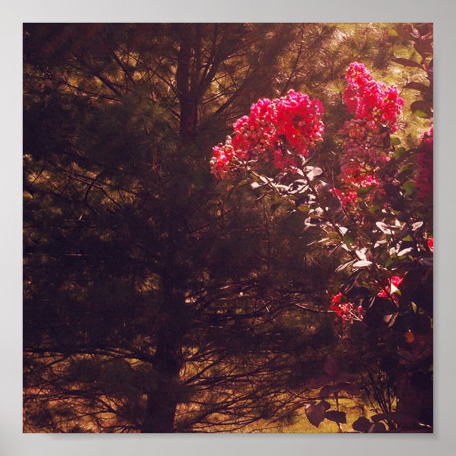 Mom's Garden Print (Front)