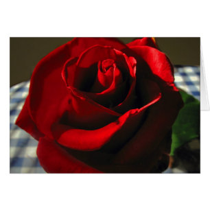 Moms Red Rose