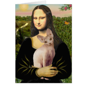 Mona Lisa - Cream Sphynx cat