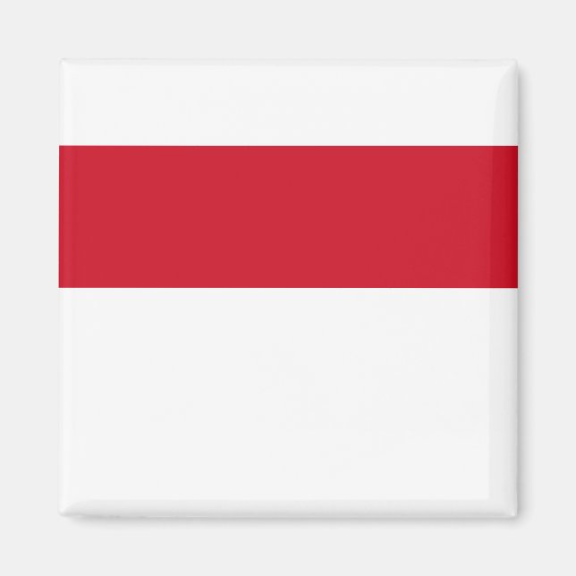 Monaco Flag Magnet (Front)
