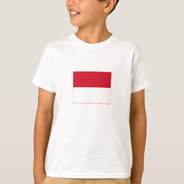 Monaco Flag T-Shirt (Front)