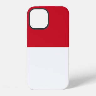 Monaco iPhone 12 Case