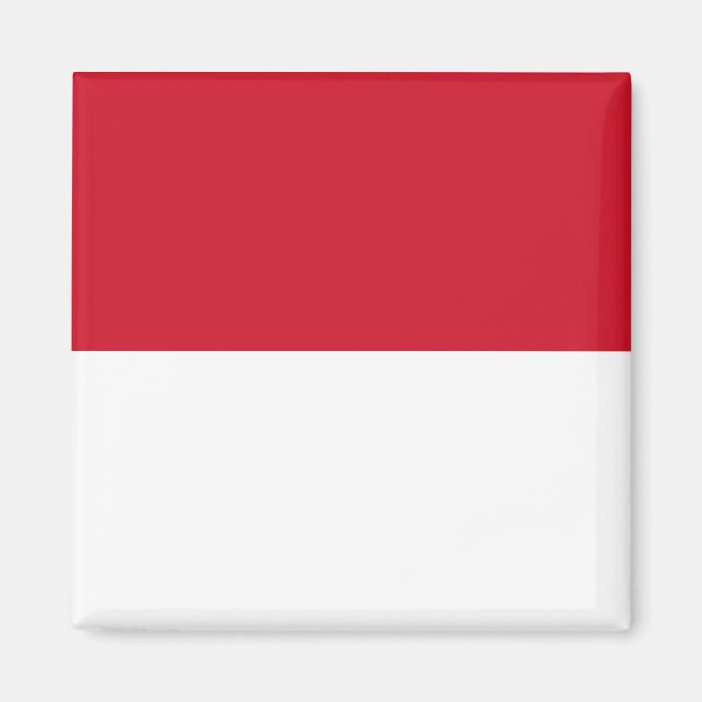 Monaco National World Flag Magnet (Front)