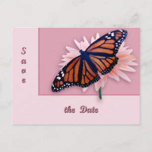 Monarch Announcement Postcard