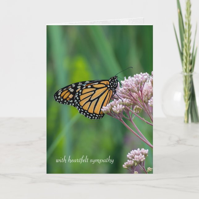 monarch butter on milkweed sympathy card (Front)