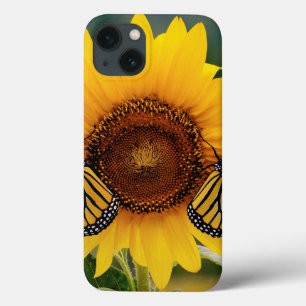 Monarch Butterfies on Sunflower iPhone 13 Case