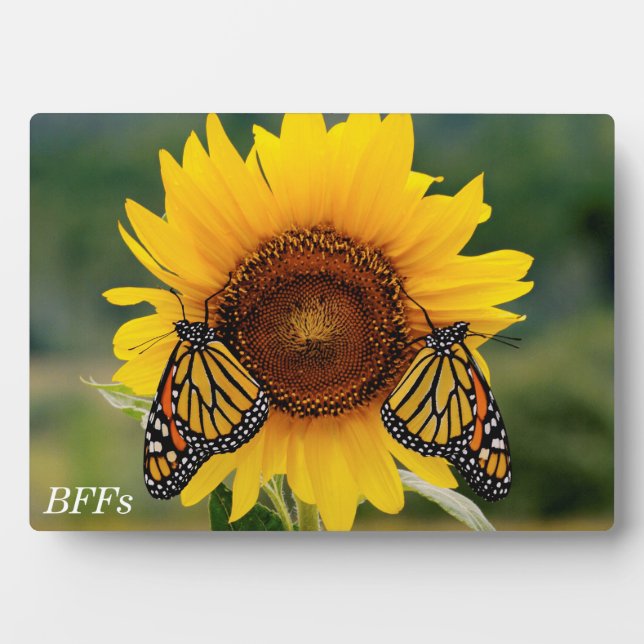 Monarch Butterfies on Sunflower Plaque (Front)