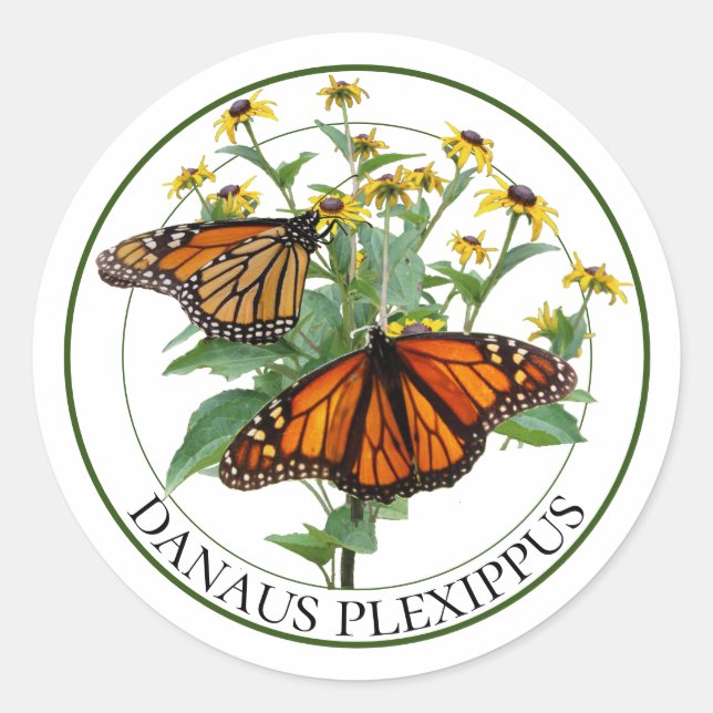 Monarch Butterflies and Black Eyed Susan Rudbeckia Classic Round Sticker (Front)