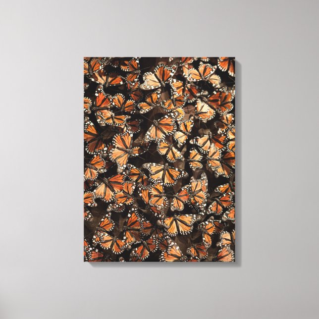Monarch Butterflies Canvas Print (Front)