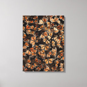 Monarch Butterflies Canvas Print