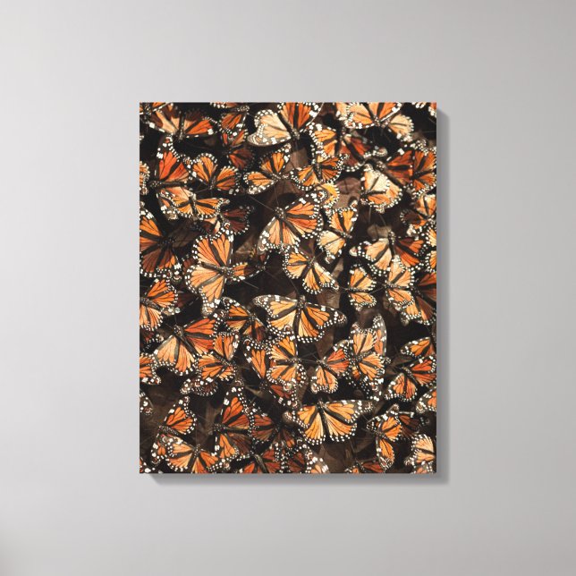 Monarch Butterflies Canvas Print (Front)