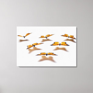 Monarch Butterflies Canvas Print
