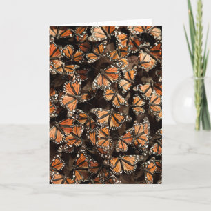 Monarch Butterflies Card