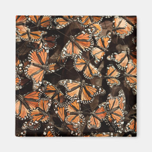 Monarch Butterflies Magnet