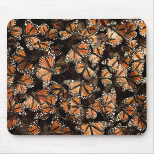 Monarch Butterflies Mouse Pad
