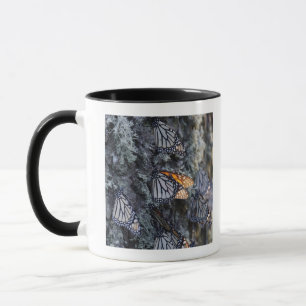 Monarch Butterflies on Pine Tree, Sierra Chincua 2 Mug