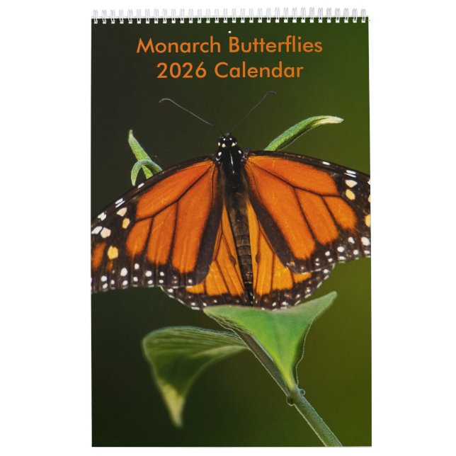 Monarch Butterflies One Page Calendar (Cover)