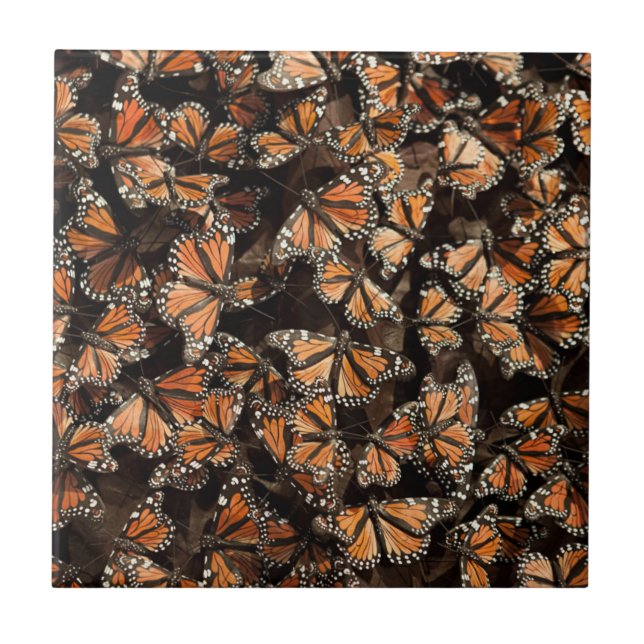 Monarch Butterflies Tile (Front)