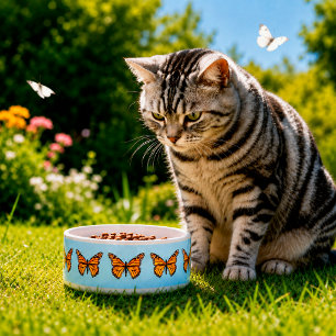 Monarch Butterfly