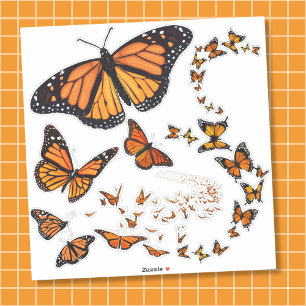 Monarch Butterfly