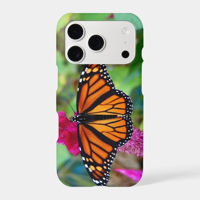 Monarch Butterfly (Back)