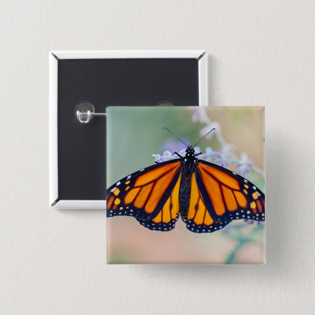 Monarch Butterfly 15 Cm Square Badge (Front & Back)