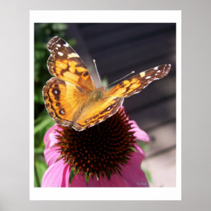 Monarch Butterfly 2 Poster