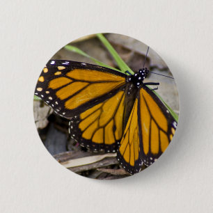 Monarch Butterfly 6 Cm Round Badge