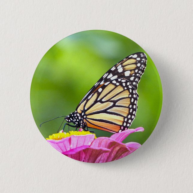 Monarch Butterfly 6 Cm Round Badge (Front)