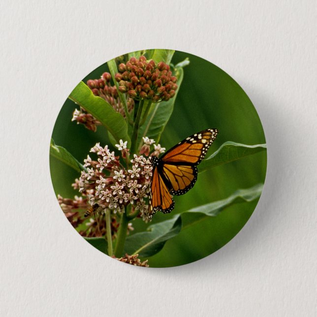 Monarch Butterfly 6 Cm Round Badge (Front)