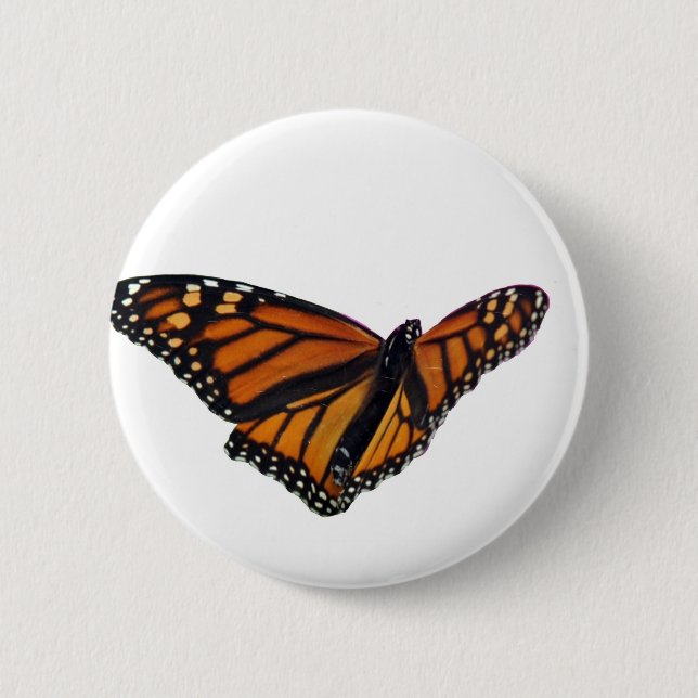Monarch butterfly 6 cm round badge (Front)
