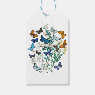 Monarch Butterfly - Aesthetic Butterflies Gift Tags