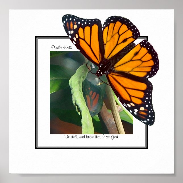 Monarch Butterfly and Chrysalis Art Poster (Front)