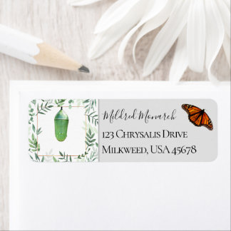 Monarch Butterfly and Chrysalis Botanical