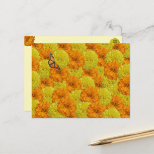 Monarch Butterfly and Marigolds Floral Postcard