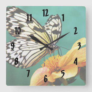 Monarch Butterfly And Orange Flower Square Wall Clock