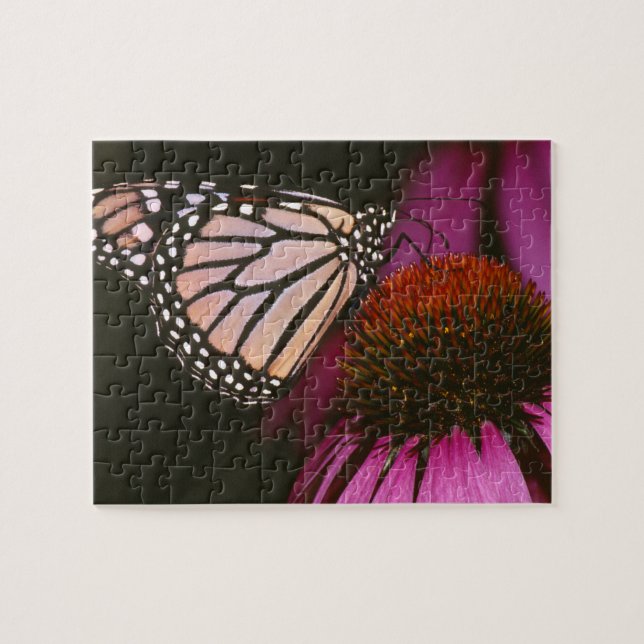 Monarch Butterfly and Purple Flower Jigsaw Puzzle (Horizontal)