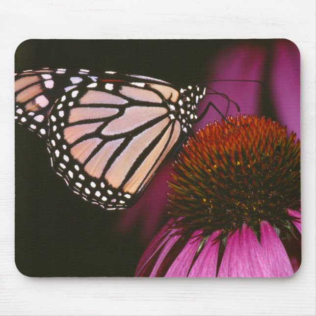 Monarch Butterfly and Purple Flower Mouse Pad (Front)