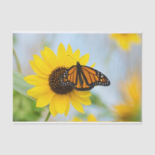 Monarch Butterfly and Sunflowers Tissue Paper (Front)