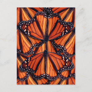 monarch butterfly art post card