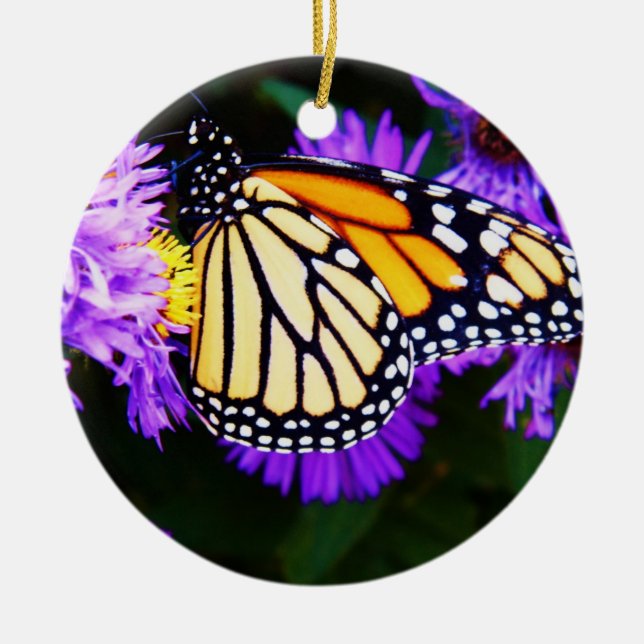 Monarch Butterfly, Aster Ornament (Front)