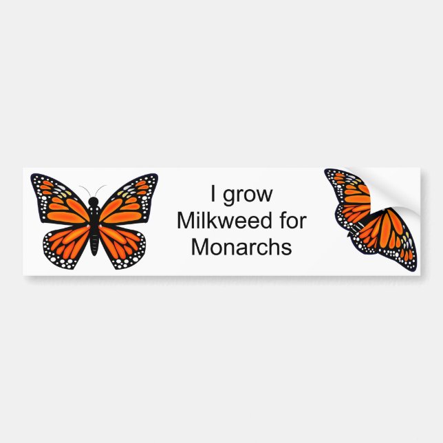 Monarch Butterfly Bumper Sticker (Front)
