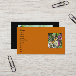 Monarch Butterfly Business Cards