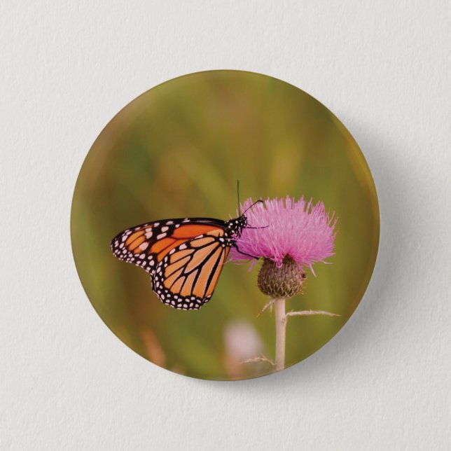 Monarch Butterfly Button (Front)