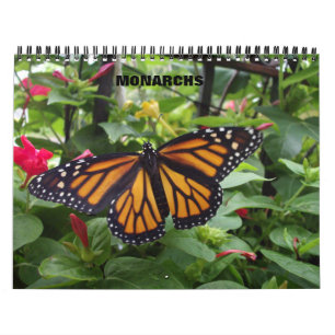 Monarch Butterfly Calendar