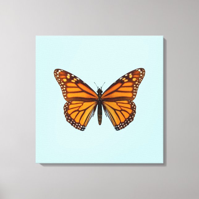 Monarch Butterfly Canvas Print (Front)