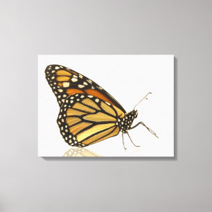 Monarch butterfly canvas print