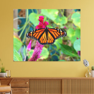 Monarch Butterfly Canvas Print