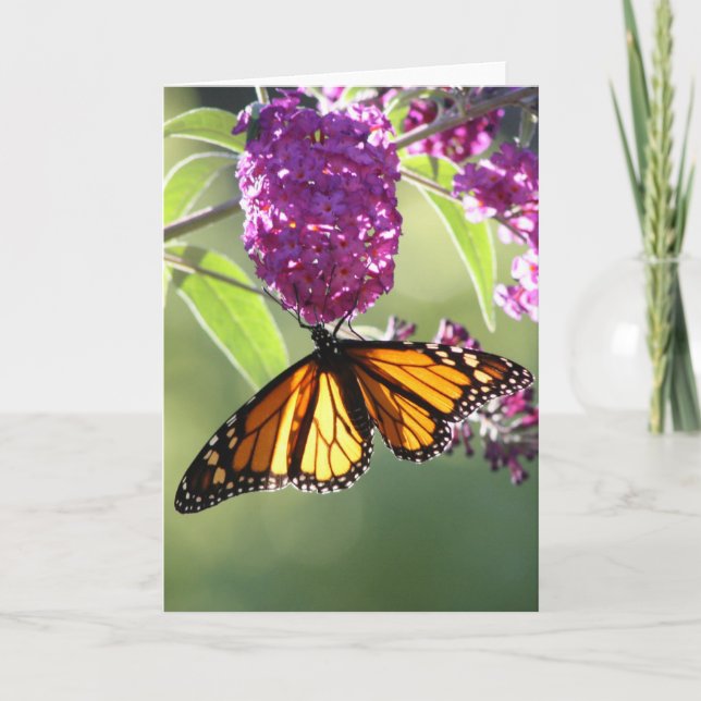 Monarch Butterfly Card (Front)